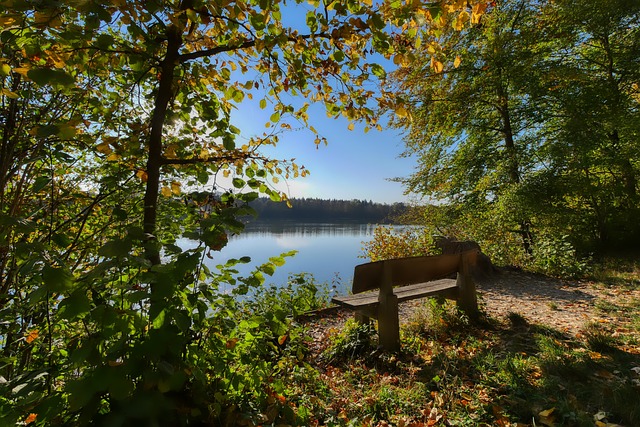 顾他在比赛 顾他在比赛