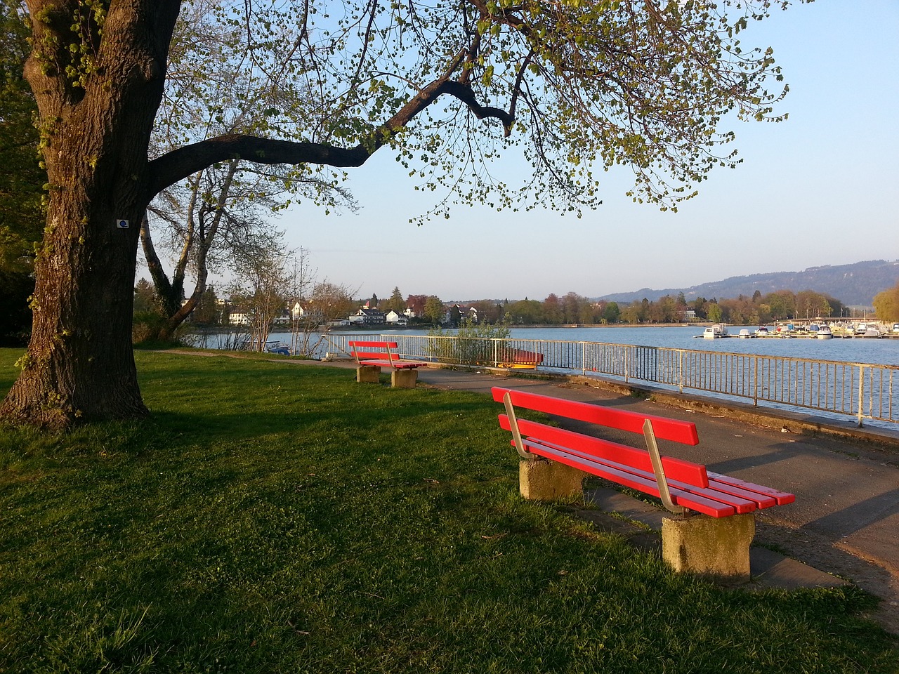 那些愿意大 那些愿意大