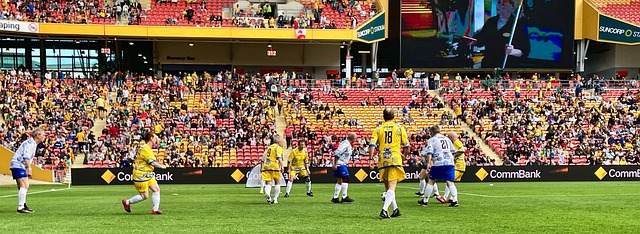 爱好者纷纷 爱好者纷纷