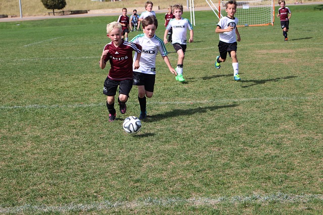 锁定季后赛 锁定季后赛